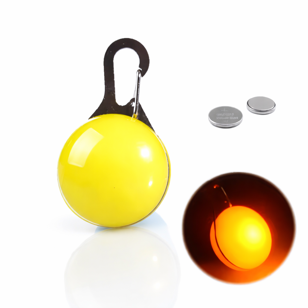 LED Light-Up Dog Collar & LED Safety Light | Pawenex