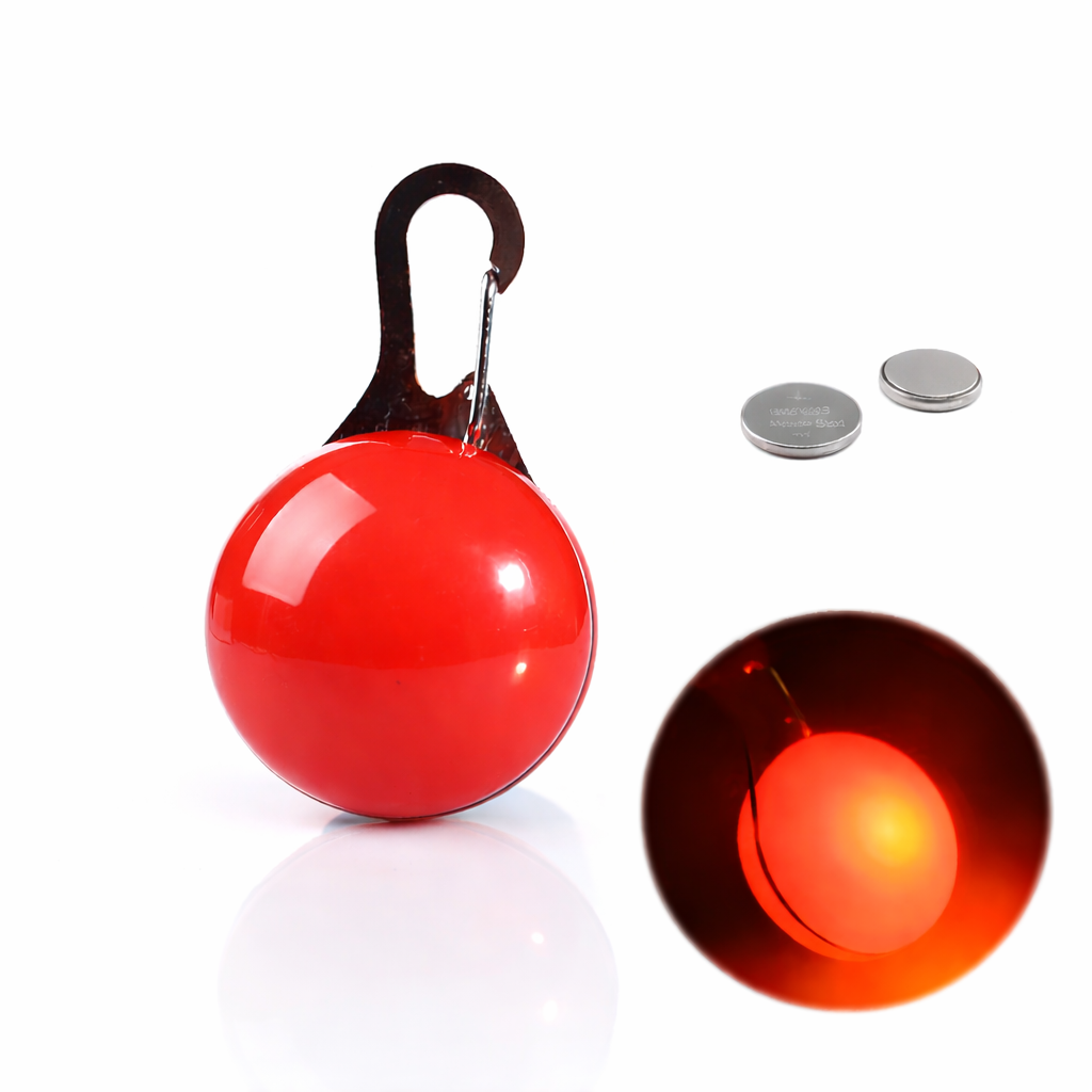 LED Light-Up Dog Collar & LED Safety Light | Pawenex