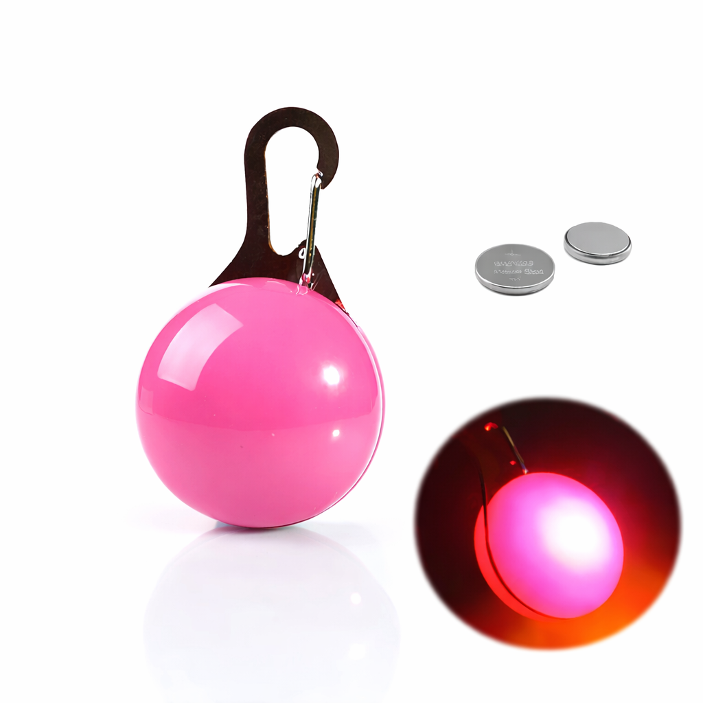 LED Light-Up Dog Collar & LED Safety Light | Pawenex