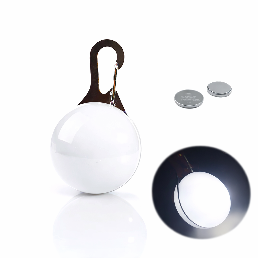 LED Light-Up Dog Collar & LED Safety Light | Pawenex