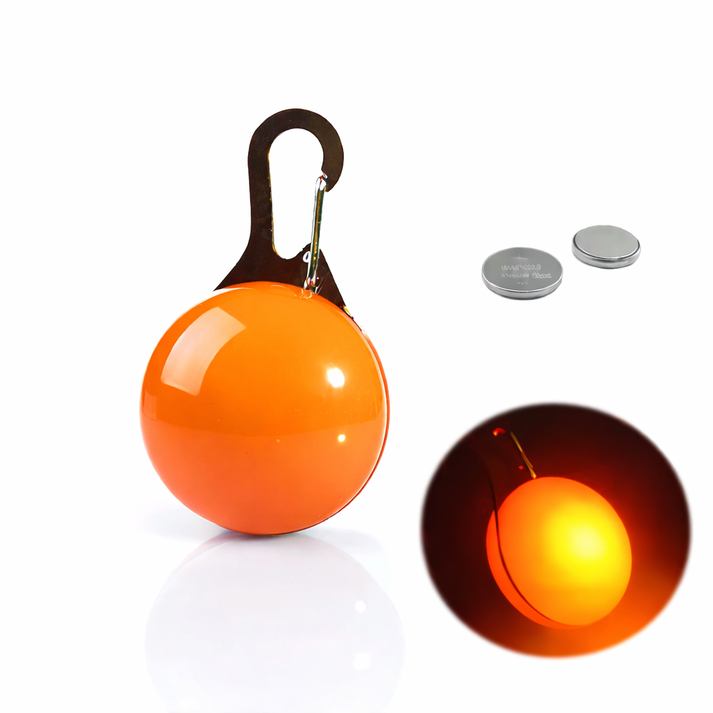 LED Light-Up Dog Collar & LED Safety Light | Pawenex