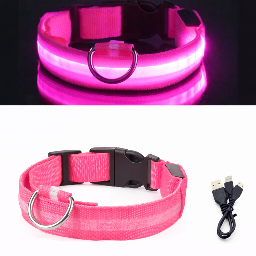 LED Light-Up Dog Collar & LED Safety Light | Pawenex