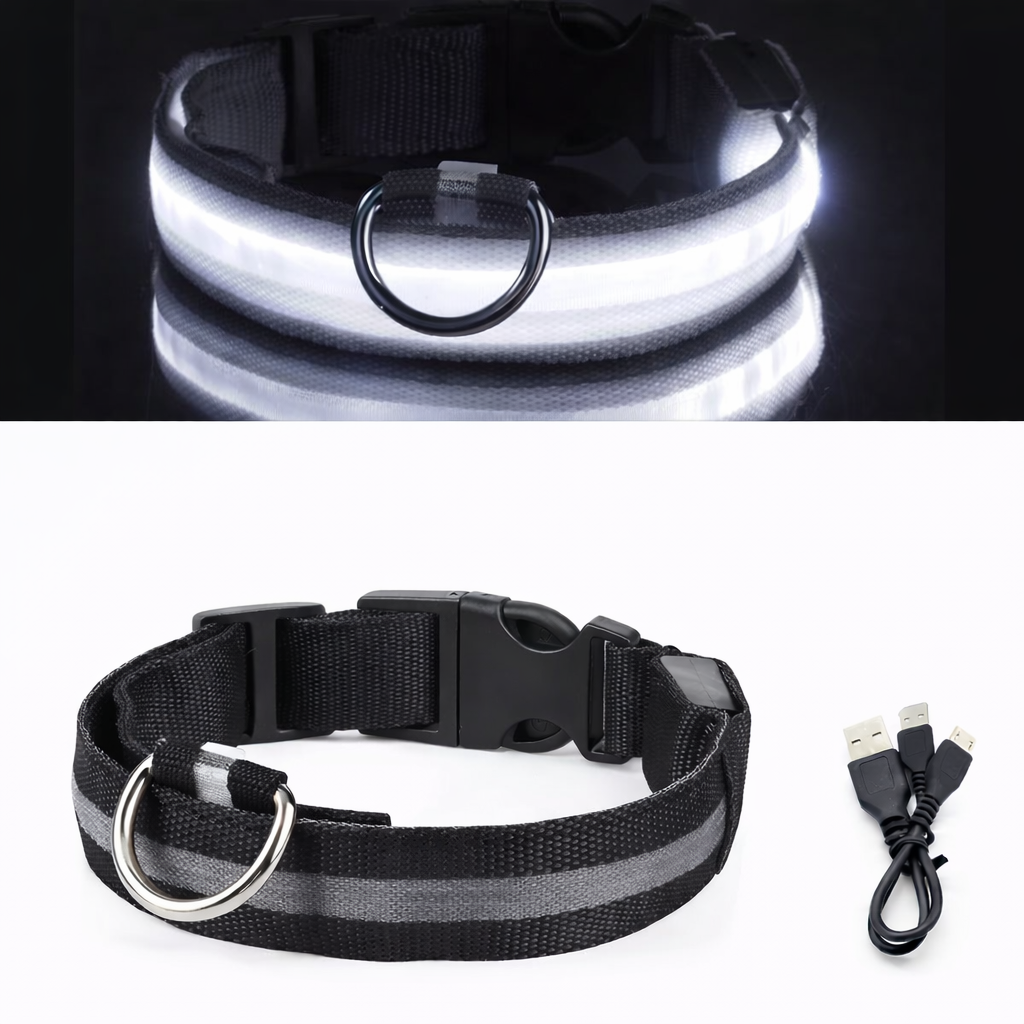 LED Light-Up Dog Collar & LED Safety Light | Pawenex