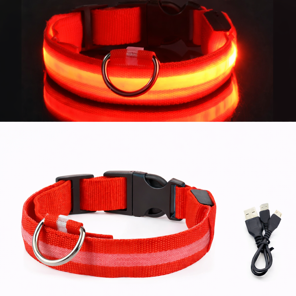 LED Light-Up Dog Collar & LED Safety Light | Pawenex