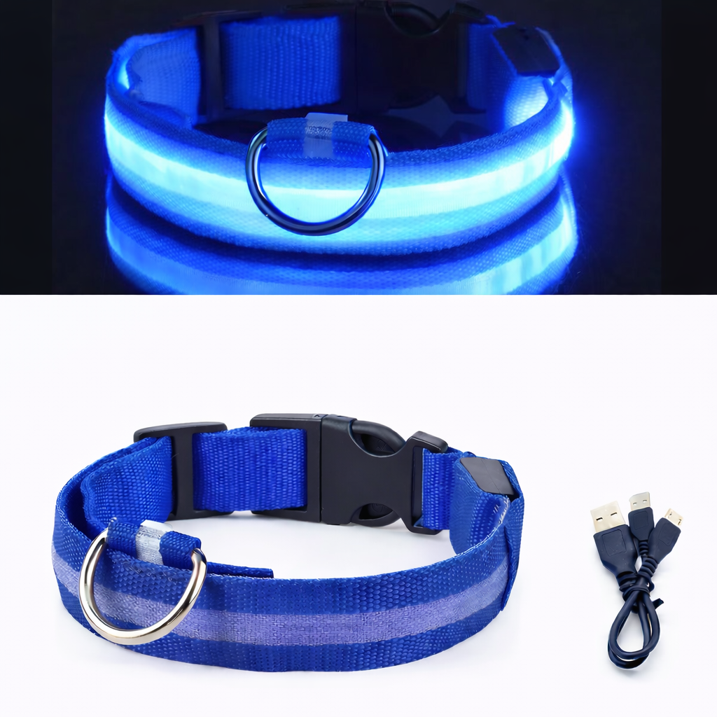 LED Light-Up Dog Collar & LED Safety Light | Pawenex
