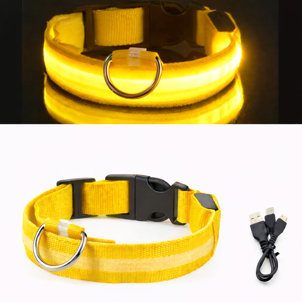 LED Light-Up Dog Collar & LED Safety Light | Pawenex