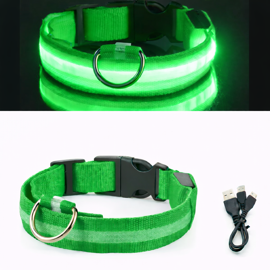 LED Light-Up Dog Collar & LED Safety Light | Pawenex