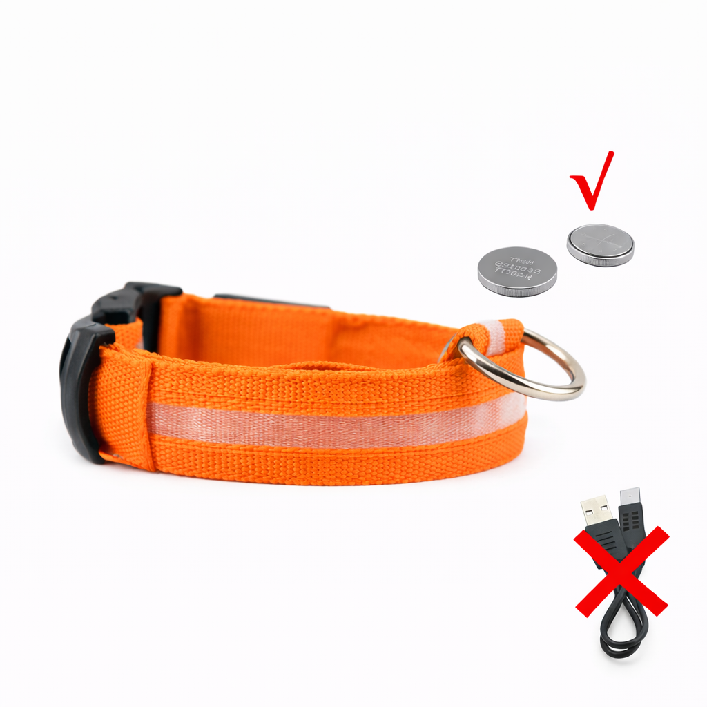 LED Light-Up Dog Collar & LED Safety Light | Pawenex