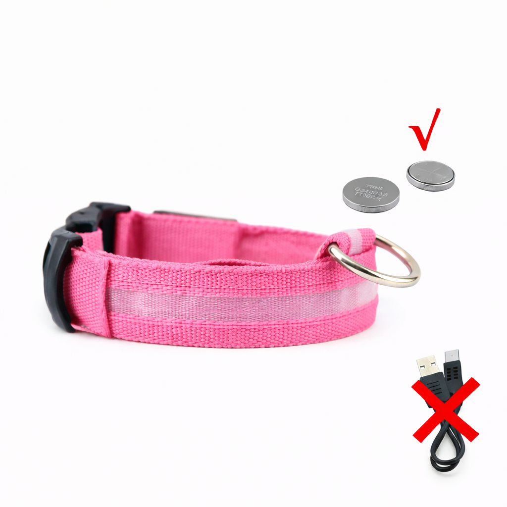 LED Light-Up Dog Collar & LED Safety Light | Pawenex