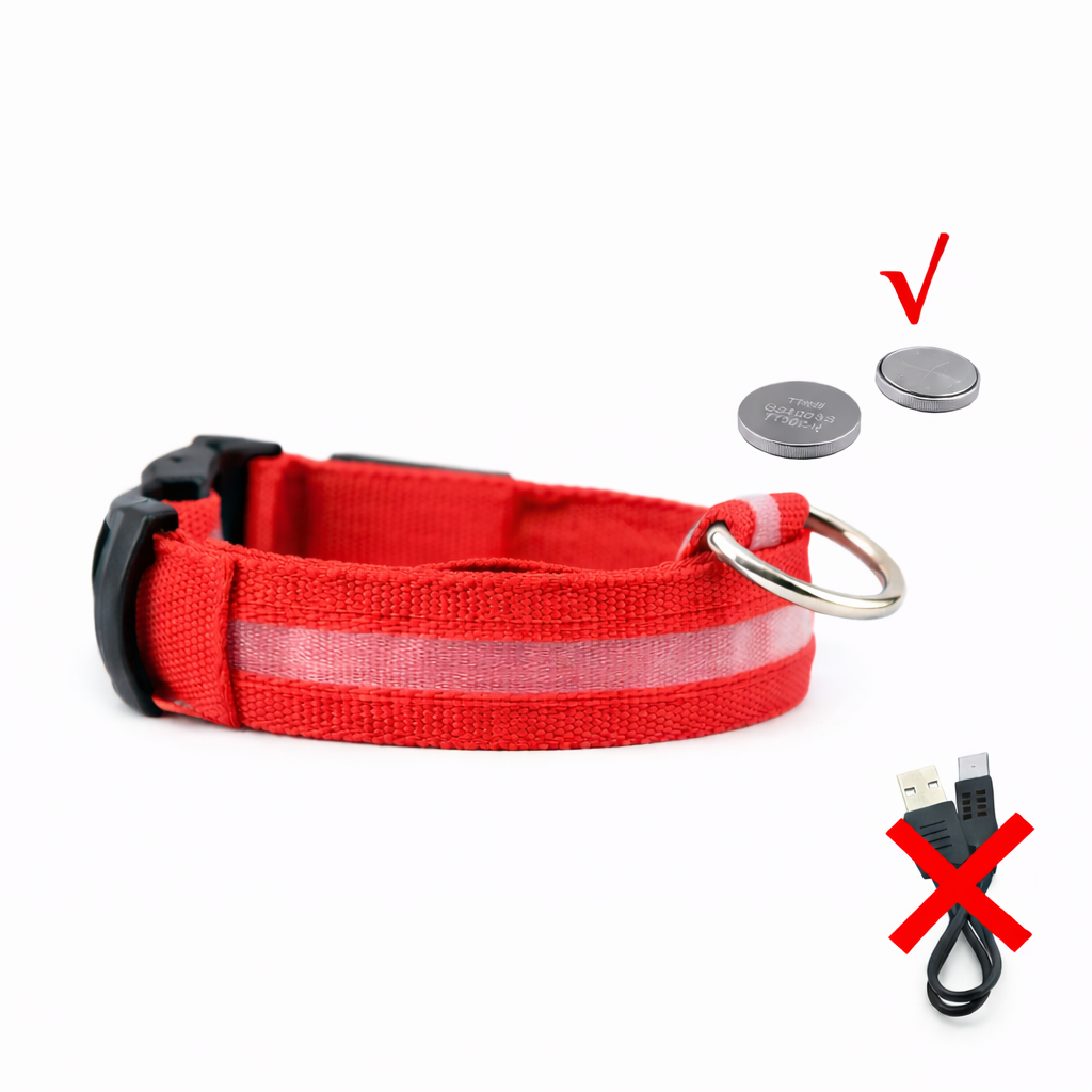 LED Light-Up Dog Collar & LED Safety Light | Pawenex