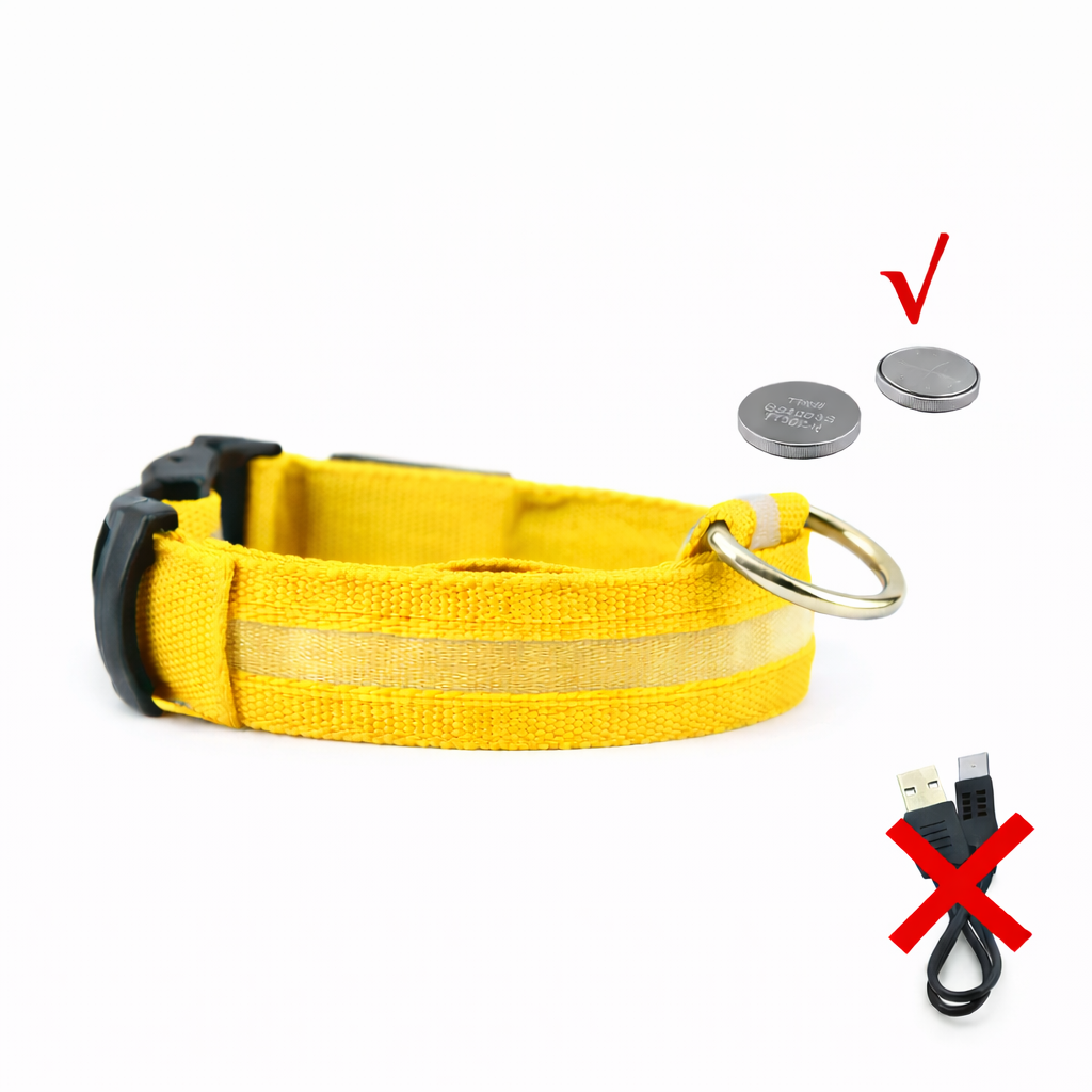 LED Light-Up Dog Collar & LED Safety Light | Pawenex