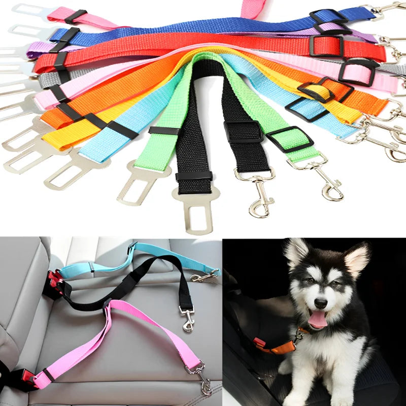 Pawenex Adjustable Car Seat Belt for Dogs &amp; Cats – Vehicle Safety Harness Leash 