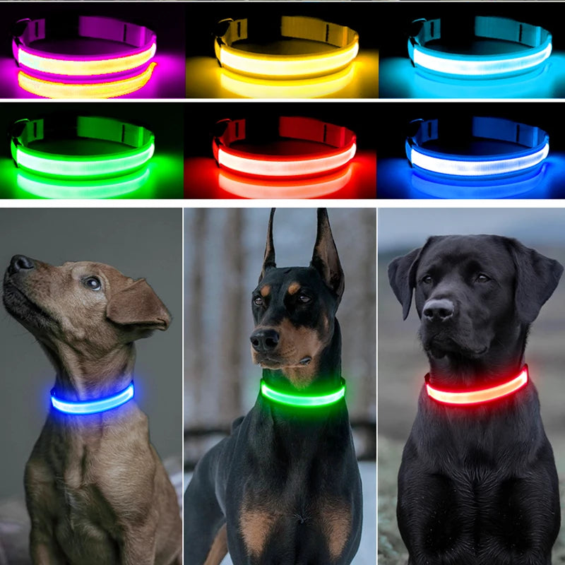Pawenex LED Işıklı Köpek Tasması & LED Güvenlik Işığı