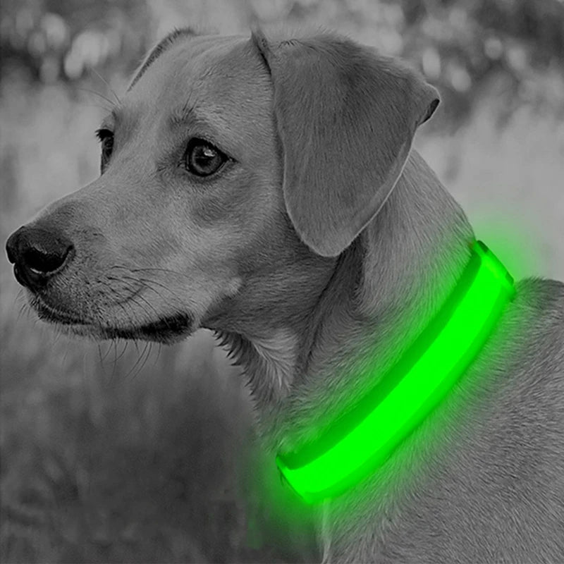 Pawenex LED Işıklı Köpek Tasması & LED Güvenlik Işığı