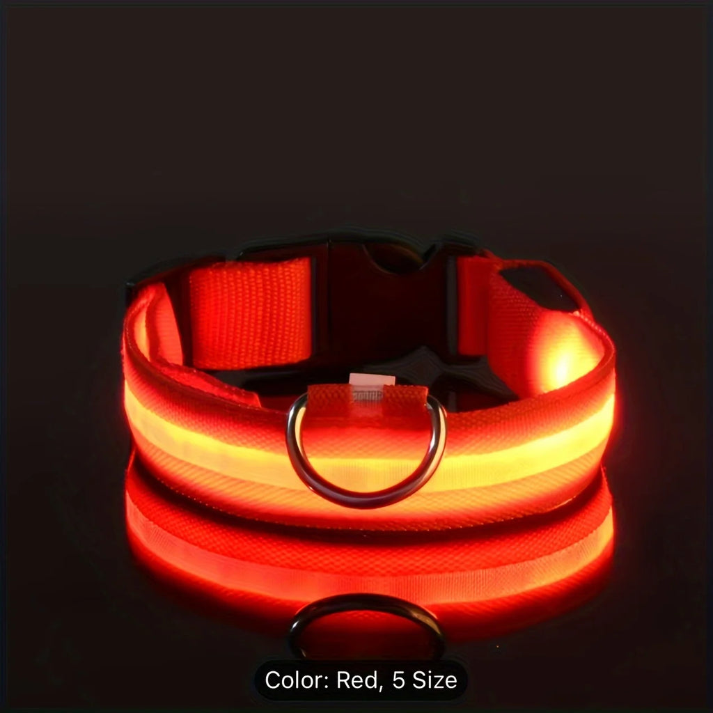 Example of using an LED-lit dog collar for night-time safety