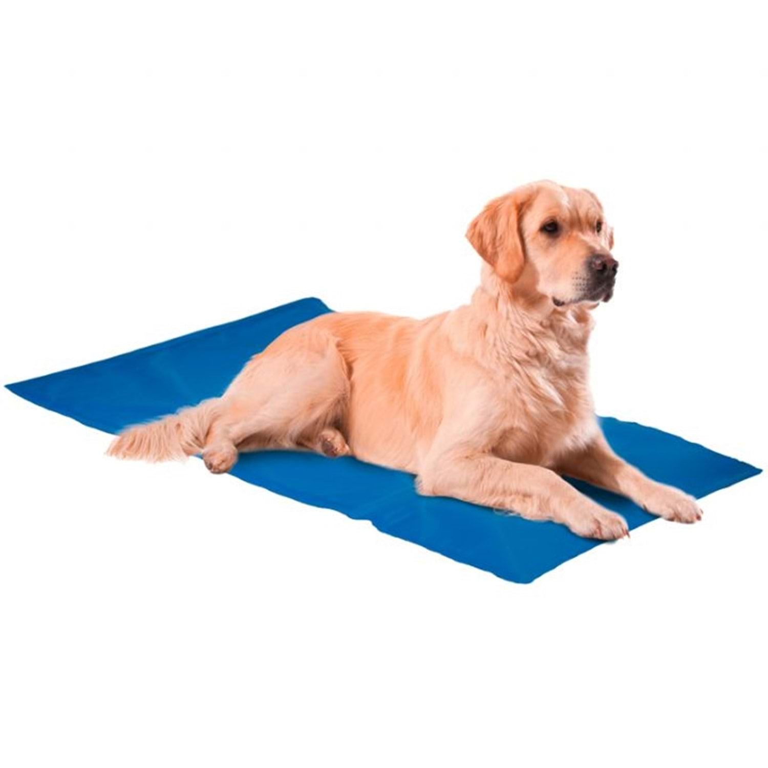 Serinleticili Köpek Yatağı XXL 50x90 Cm